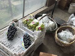 -马陆小张葡萄园农家乐