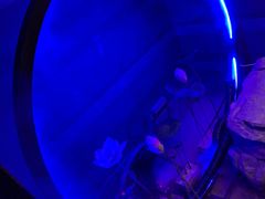 -章丘宴(唐人中心店)