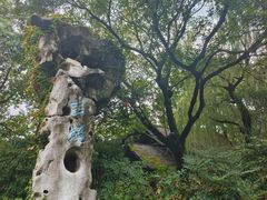 -绍兴鲁迅故里·沈园景区