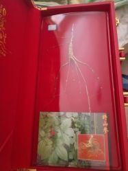 -江西省妇幼保健院(东湖院区)