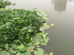 -前关湿地公园