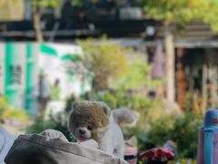 -一叶觅山(半边街店)