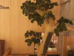 -文三酒肆自助放题(新街口友谊广场店)