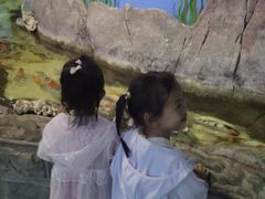 -苏州海洋馆