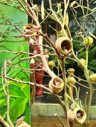 -Zoolung Zoolung动物主题公园(海信广场店)