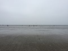 -大鹿岛