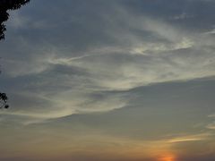 -黄埔油麻山森林公园