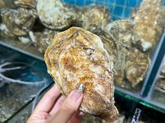 -李哥海鲜烧烤家常菜(孔雀城店)