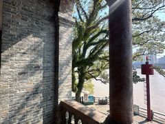 -江心屿景区