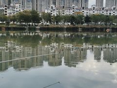 -光明港公园