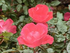 -人民公园(罗湖区)