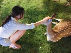 -清迈夜间动物园