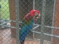 psbJE683445-祥源·阜阳生态乐园