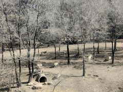 -沈阳森林动物园