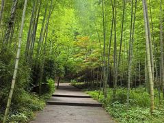 -紫藤园·天目湖大鱼头(南山竹海店)