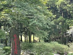 -庐山风景区花径公园