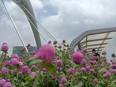 -二沙岛艺术公园