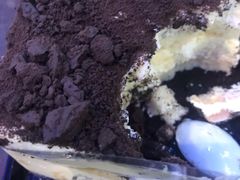 -盒马鲜生(宝地店)