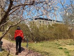 -金岳台私汤温泉度假山庄·创意餐厅(昌平十三陵店)