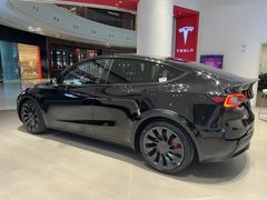 -TESLA 特斯拉(广州天环广场体验店)