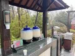 -天目湖涵田半山温泉