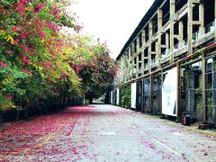 -广州市紫泥堂文化创意园景区