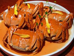 -寻宝记绍兴菜(笛扬楼店)