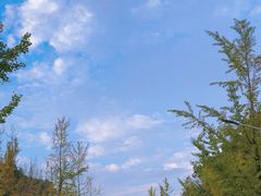 -浙江农林大学(东湖校区)