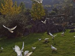 -千岛湖石林