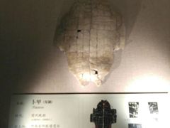 -安阳博物馆