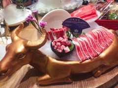 牛气冲天-尚海豆捞(乐虹坊店)