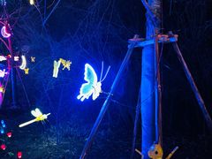 -梁鸿国家湿地公园