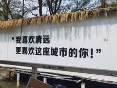 -芭厘农庄老字号·清远鸡