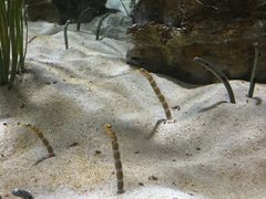 -海云台海滩