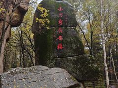 -汤旺河林海奇石景区