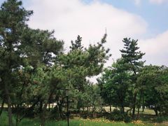 -东海森林温泉度假酒店