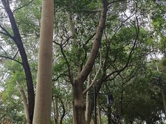 -广州雕塑公园