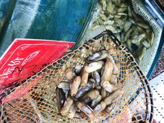 -北戴河庆山饭店·海鲜砂锅粥(北戴河黑石路店)