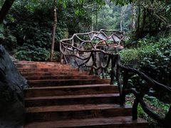 -江西阳明山国家森林公园