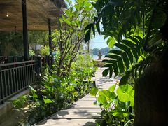 -The Palmboo Restaurant