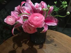 -蝶舍·MAISON PAPILLON