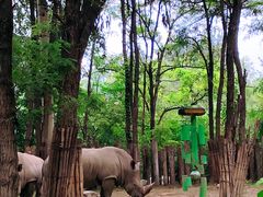 -北京野生动物园