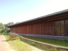 -八大山人梅湖景区