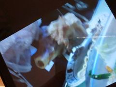 -天都火锅酒楼(虹梅南路店)