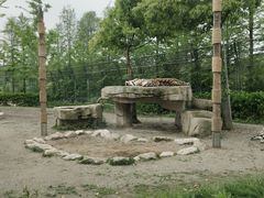 -上海野生动物园老虎餐厅