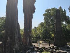 -金钉子远古世界景区