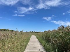 -野鸭湖国家湿地公园