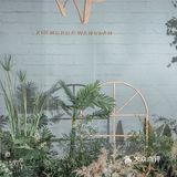 北京婚礼//清新典雅的婚礼，让我们来为你设计