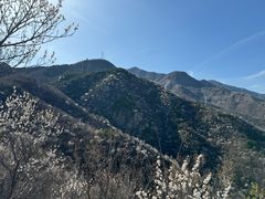 -鹫峰国家森林公园