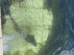 -天源渔港农庄